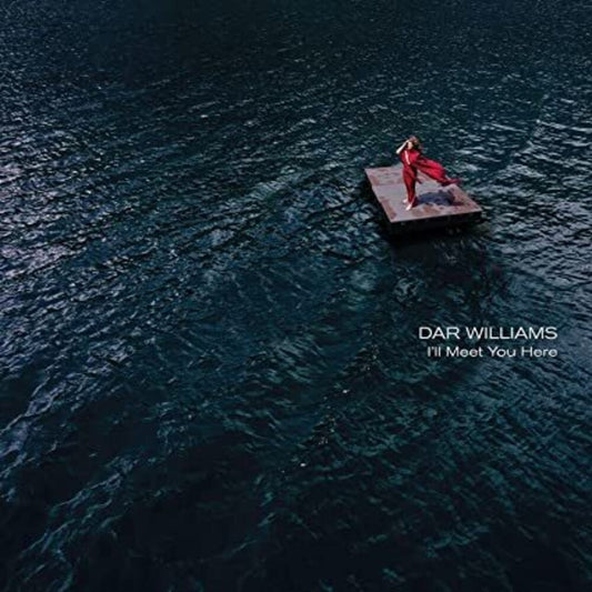 the album cover for Dar Williams - I'll Meet You Here