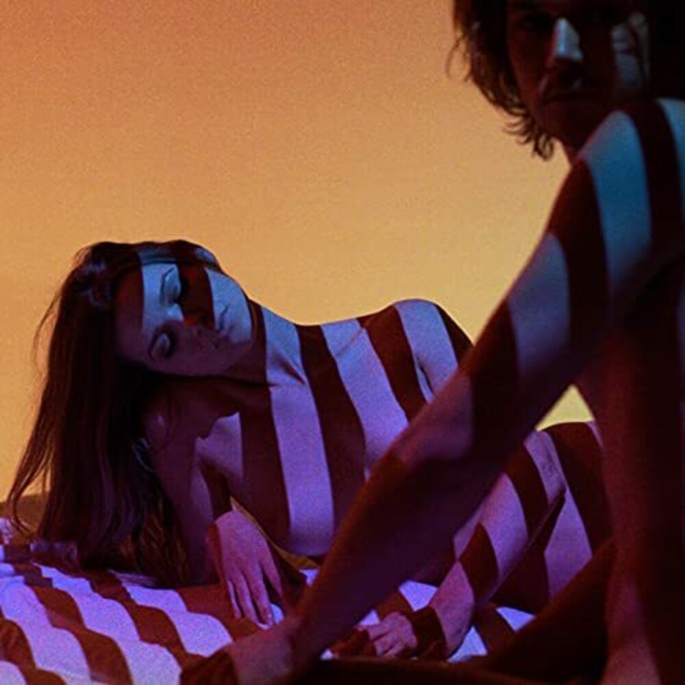 the album cover for The Plot In You - Swan Song [Grape LP]