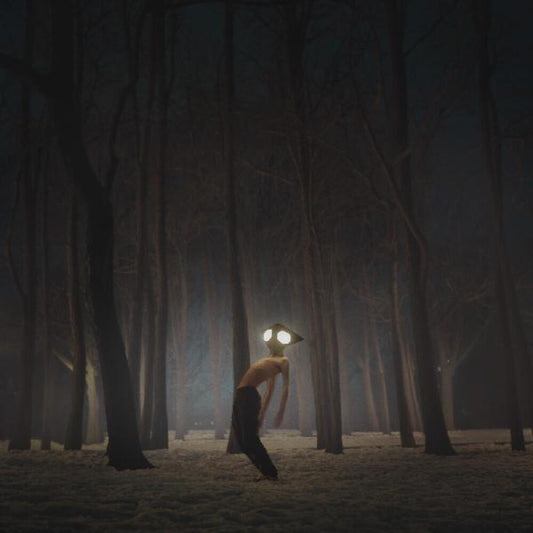 the album cover for Geese - Projector