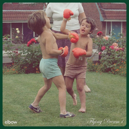 the album cover for Elbow - Flying Dream 1 [Black LP]