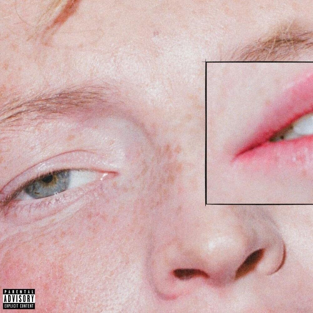 the album cover for The Greeting Committee - Dandelion [LP]