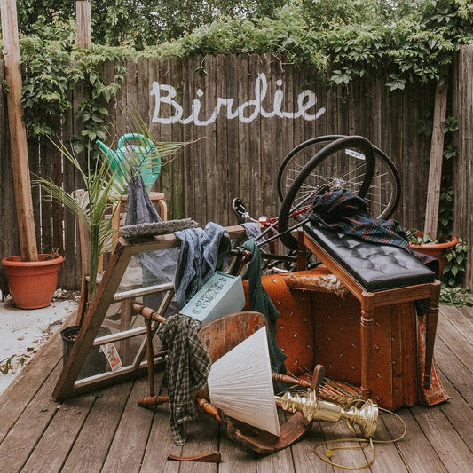 the album cover for Slaughter Beach, Dog - Birdie [Colored Vinyl] (Grn) (Can)