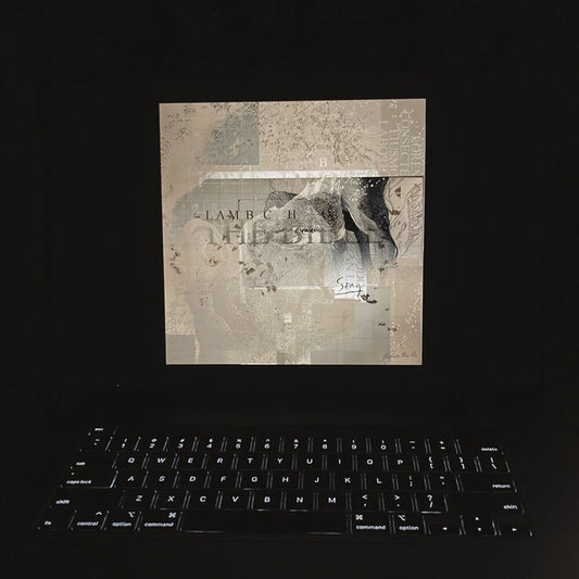 the album cover for Lambchop - The Bible