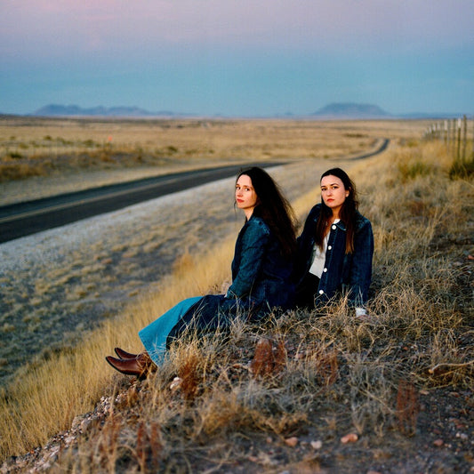 the album cover for Plains - I Walked With You A Ways