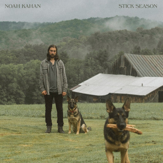 the album cover for Noah Kahan - Stick Season