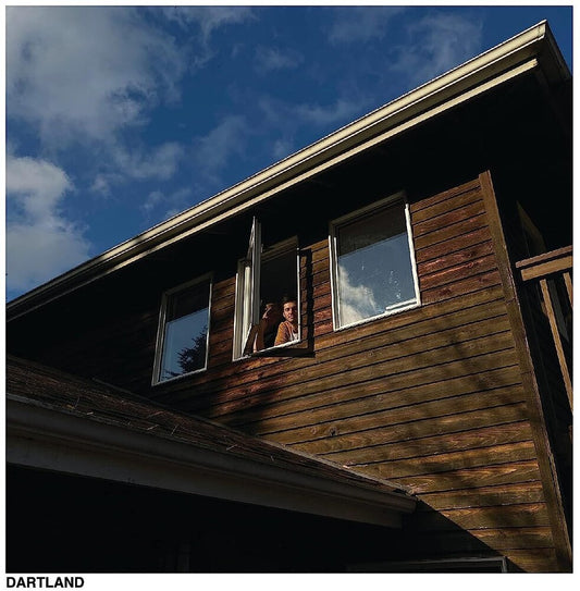 the album cover for Worst Party Ever - Dartland [LP]