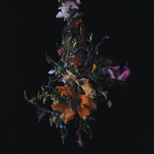 the album cover for Big/Brave - Nature Morte [Colored Vinyl] [Limited Edition] [Indie Exclusive] [Download Included]