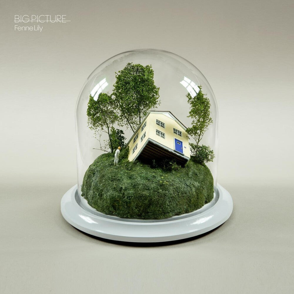 the album cover for Fenne Lily - Big Picture [LP]