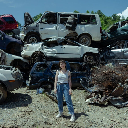 the album cover for Unknown Artist - Twin Plagues