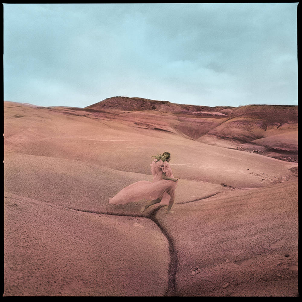 the album cover for Margo Price - Strays [Indie Exclusive Limited Edition Signed Booklet + Bonus Track CD]