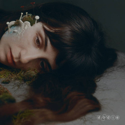 the album cover for dodie - Not For Lack Of Trying [Indie Exclusive LP w/Signed Insert]
