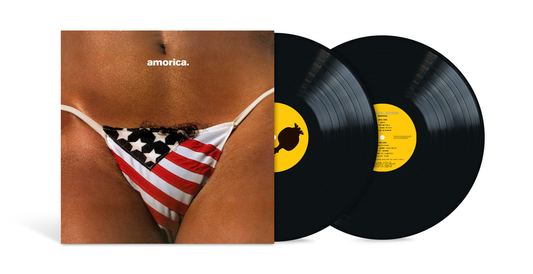 the album cover for The Black Crowes - Amorica. -  [180g 2LP]