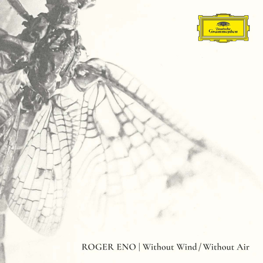 the album cover for Roger Eno - Without Wind, Without Air