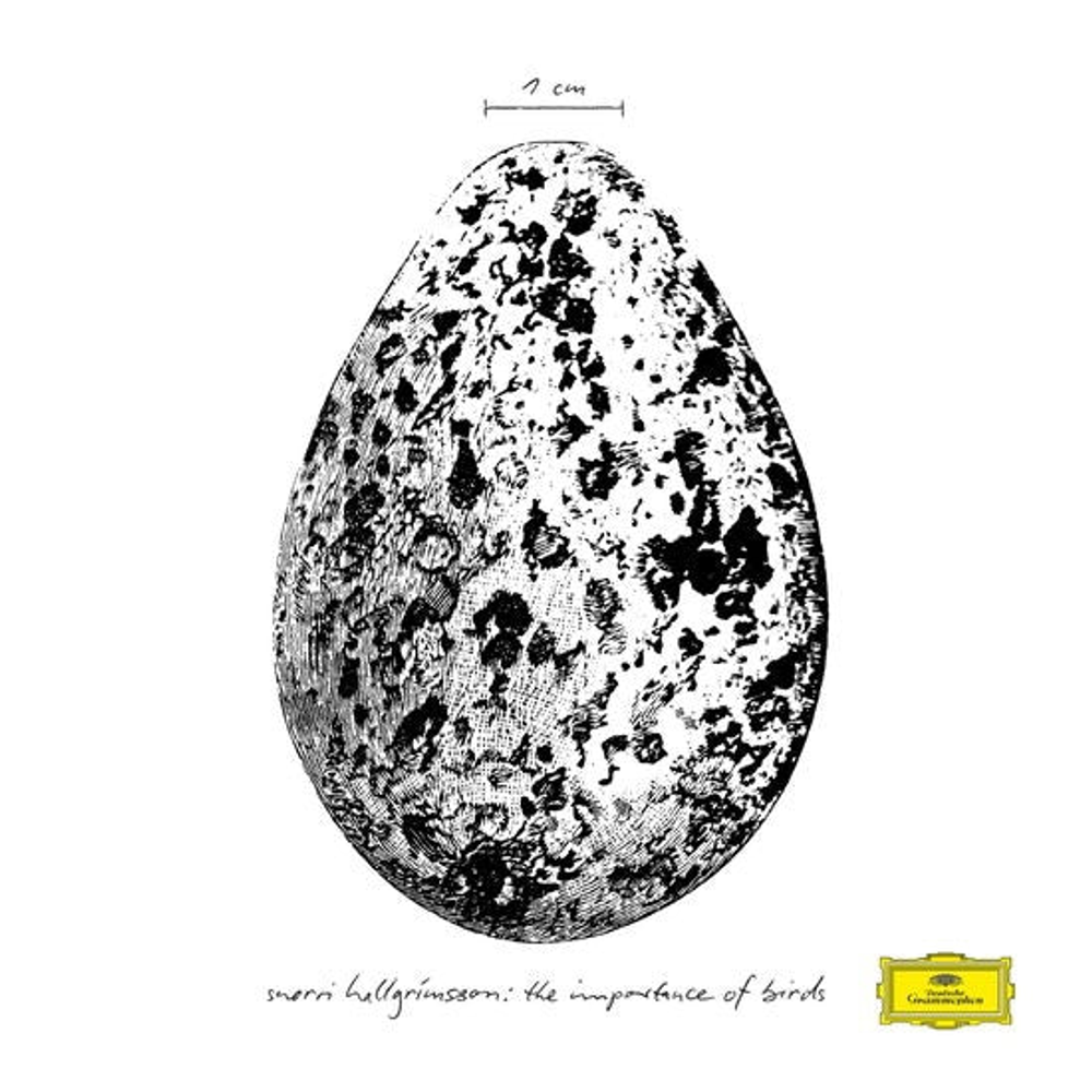 the album cover for Snorri Hallgrmmsson - The Importance Of Birds EP