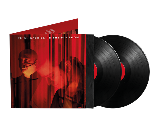 the album cover for Peter Gabriel - In The Big Room