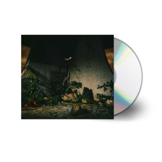 the album cover for The Plot In You - The Plot In You