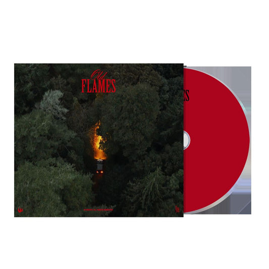the album cover for La Roux - Old Flames