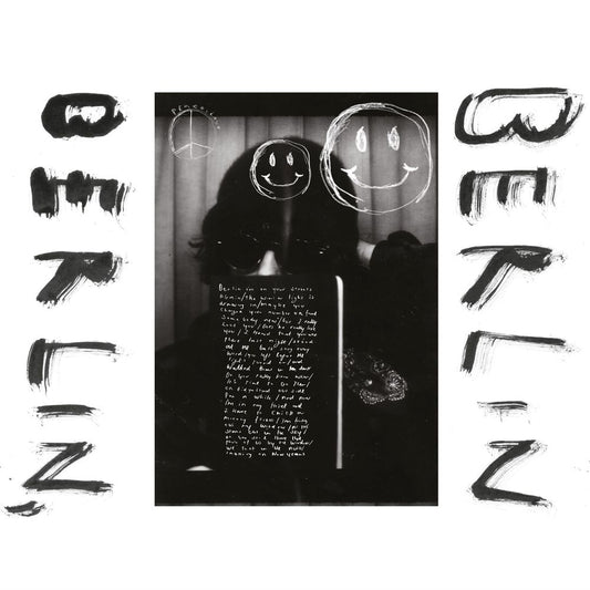 the album cover for Fionn Regan - Berlin, Berlin