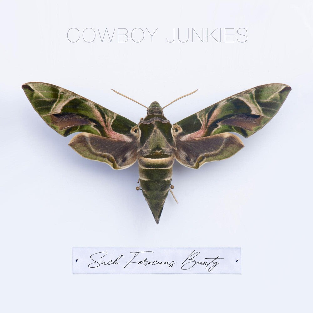 the album cover for Cowboy Junkies - Such Ferocious Beauty