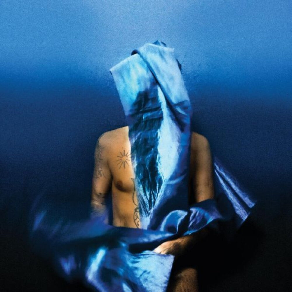 the album cover for Devendra Banhart - Flying Wig