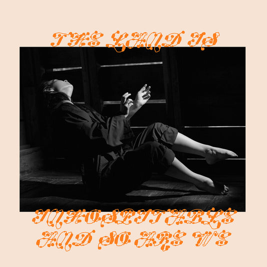 the album cover for Mitski - The Land Is Inhospitable and So Are We