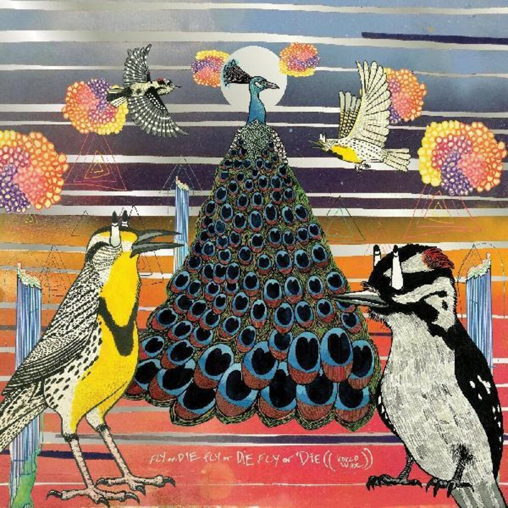 the album cover for Jaimie Branch - Fly or Die Fly or Die Fly or Die ((world war))