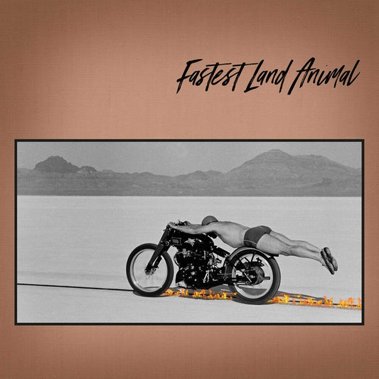 the album cover for Fastest Land Animal - East Coast, West Coast, In Between [Indie Exclusive Limited Edition LP]