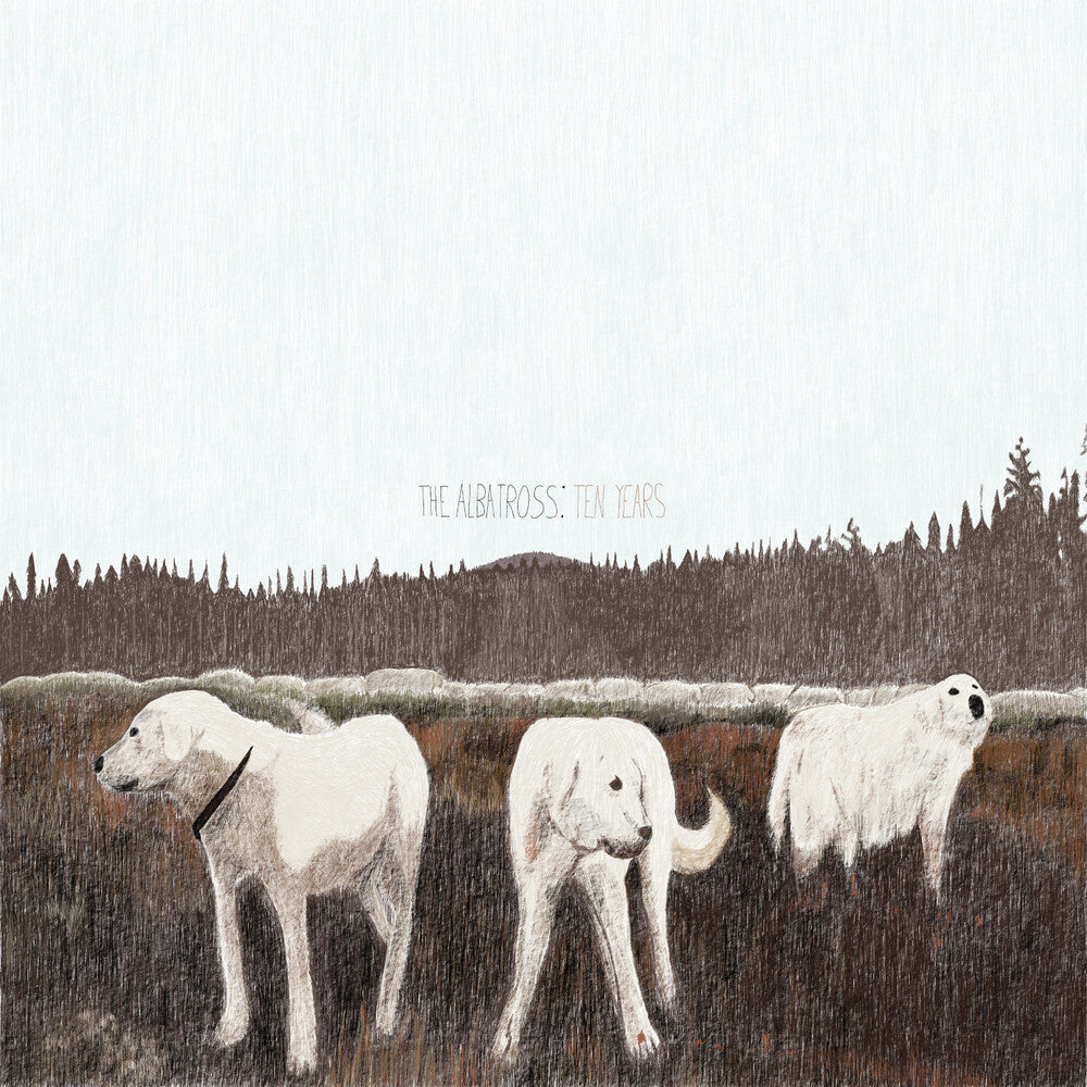 the album cover for Foxing - Albatross: Ten Years (Brwn) [Colored Vinyl]