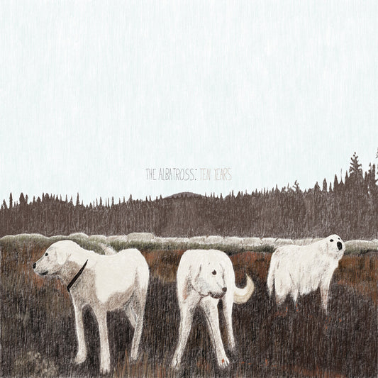 the album cover for Foxing - Albatross: Ten Years (Brwn) [Colored Vinyl]