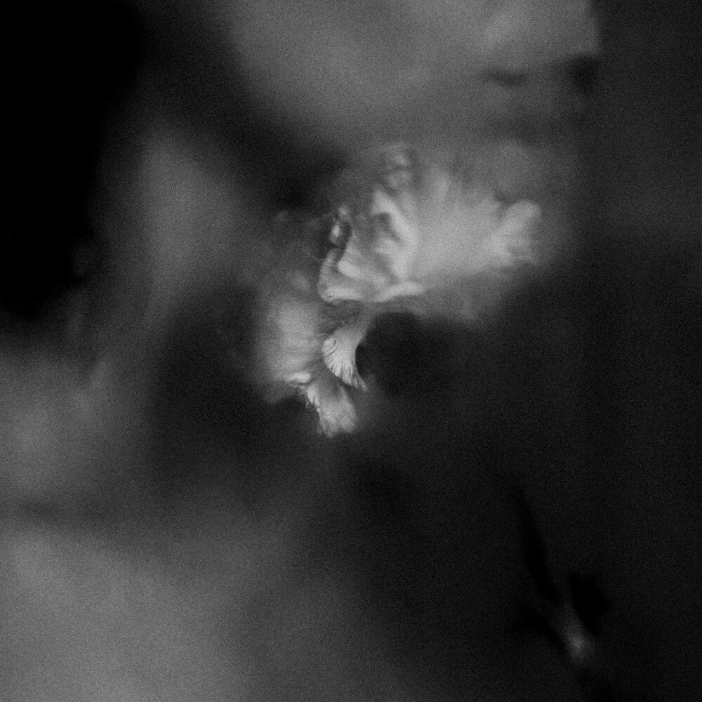 the album cover for Holding Absence - Holding Absence [Clear W/ Black Splatter LP]