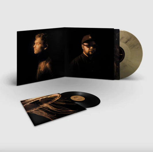 the album cover for Royal Blood - Back To The Water: Deluxe (Blk) [Colored Vinyl] [Deluxe] (Gol)