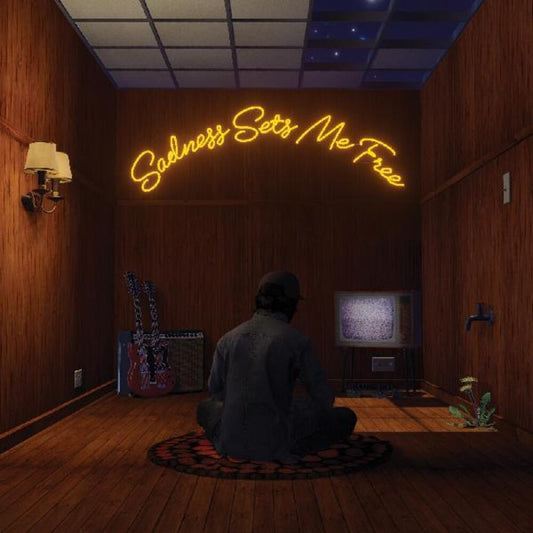 the album cover for Gruff Rhys - Sadness Sets Me Free [Indie Exclusive Limited Edition Blackberry Neo-Neapolitan LP]