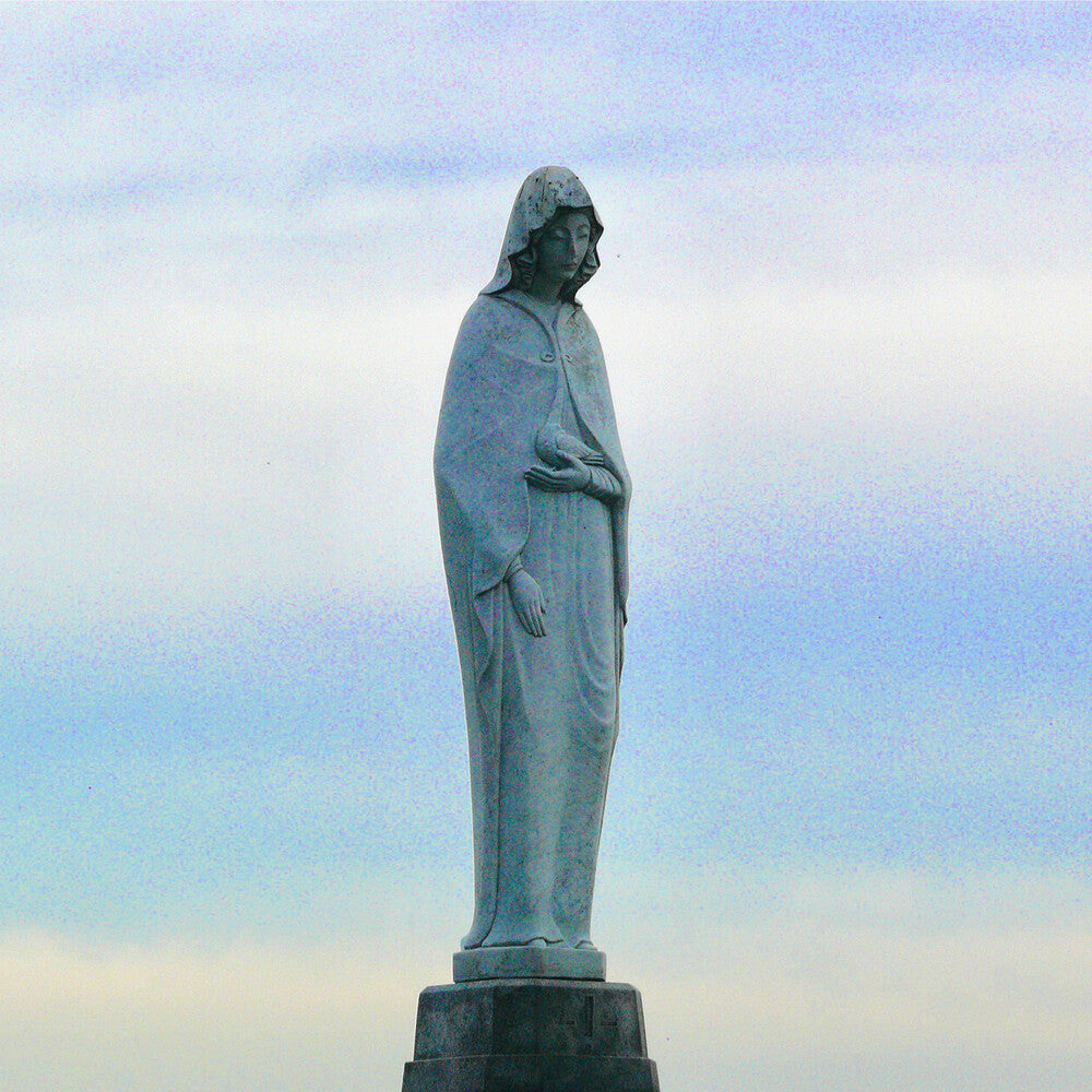 the album cover for Dead Poet Society - Fission - White [Colored Vinyl] (Wht)