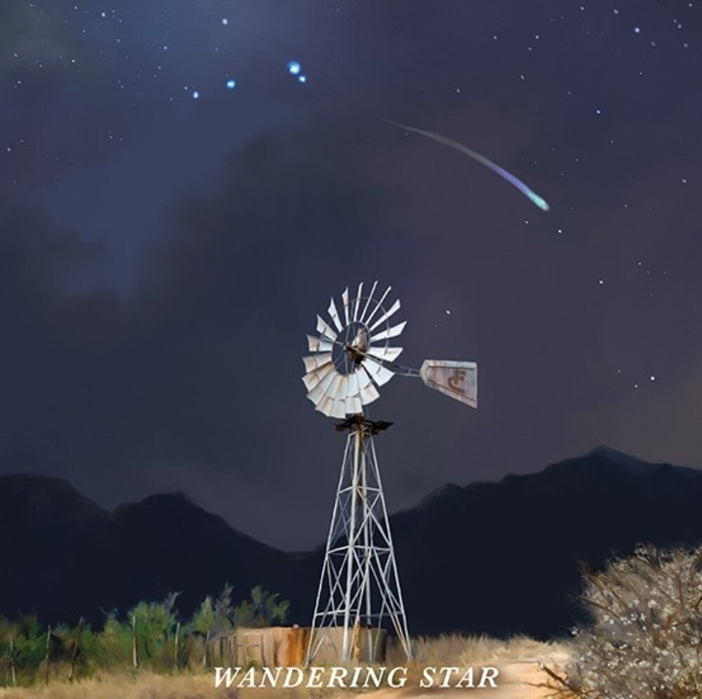 the album cover for Flatland Cavalry - Wandering Star
