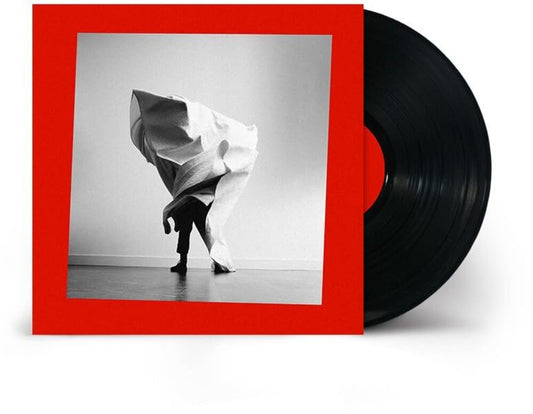 the album cover for Mother Mother - Grief Chapter [LP]