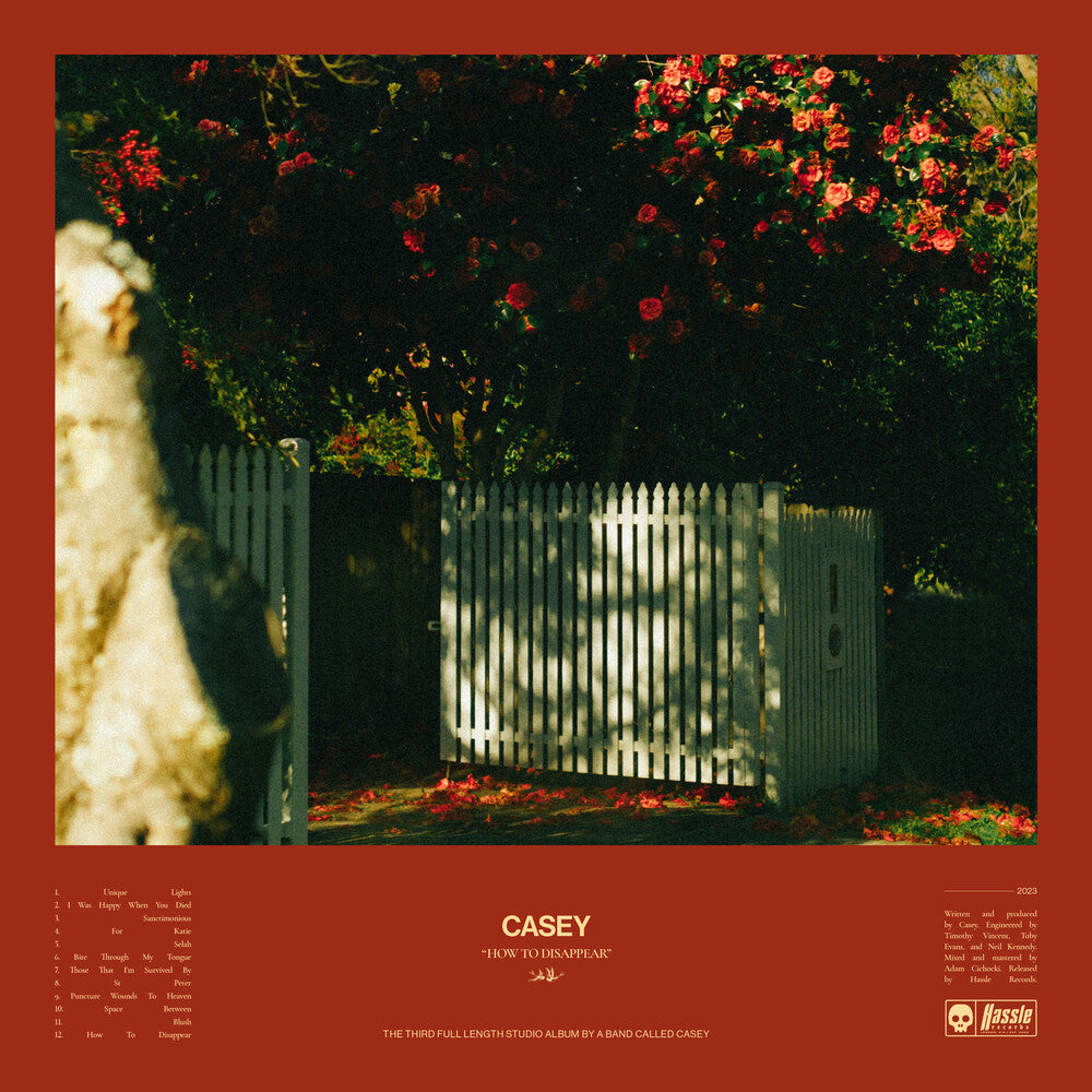 the album cover for Casey - How To Disappear [Import Transparent Yellow LP]