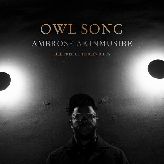the album cover for Ambrose Akinmusire - Owl Song [LP]