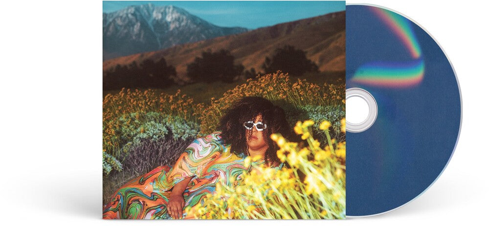 the album cover for Brittany Howard - What Now