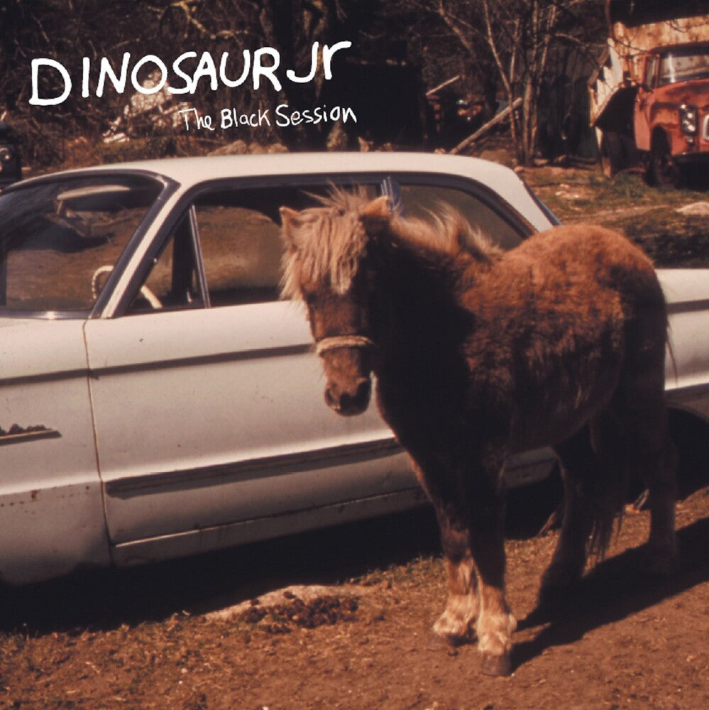 the album cover for Dinosaur Jr. - Black Session: Live In Paris 1993