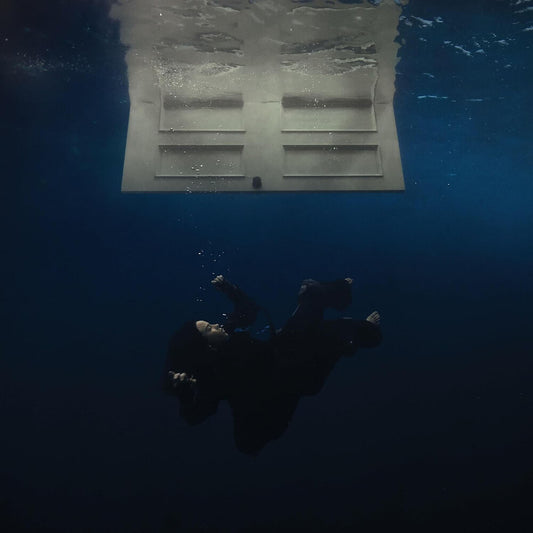 the album cover for Billie Eilish - HIT ME HARD AND SOFT [Recycled Black LP]