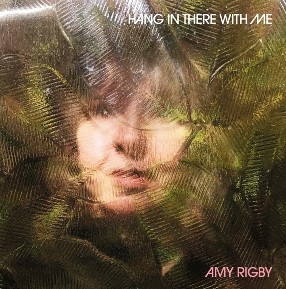 the album cover for Amy Rigby - Hang In There With Me
