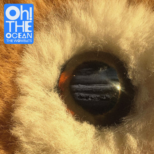 the album cover for The Wombats - Oh! The Ocean [Indie exclusive Cloudy clear]