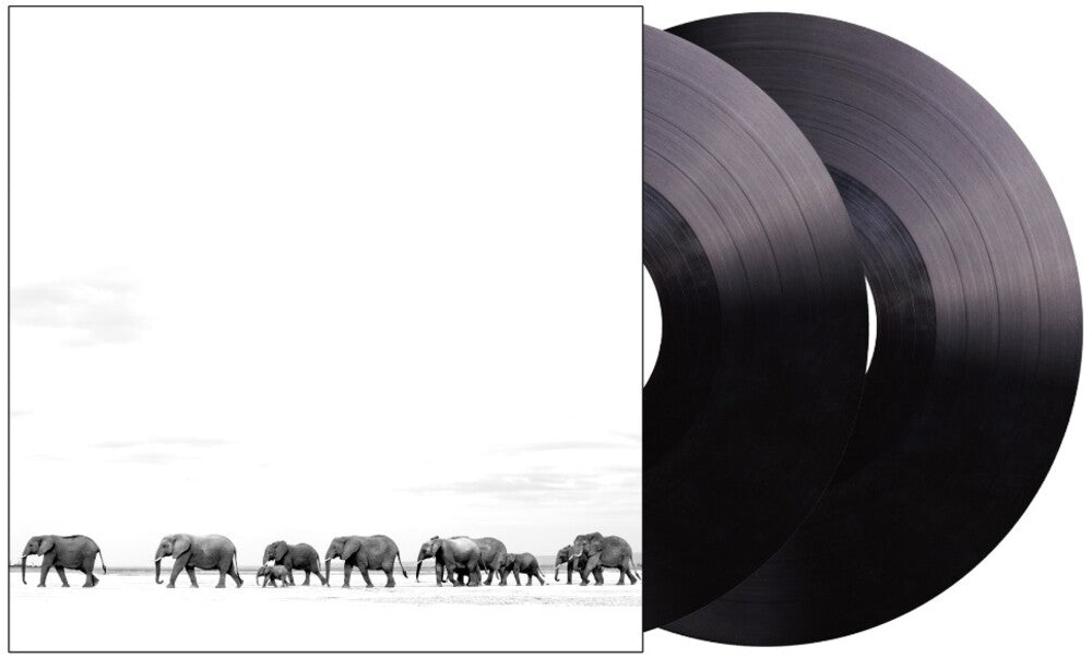 the album cover for Dave Matthews Band - Where Are You Going: The Singles