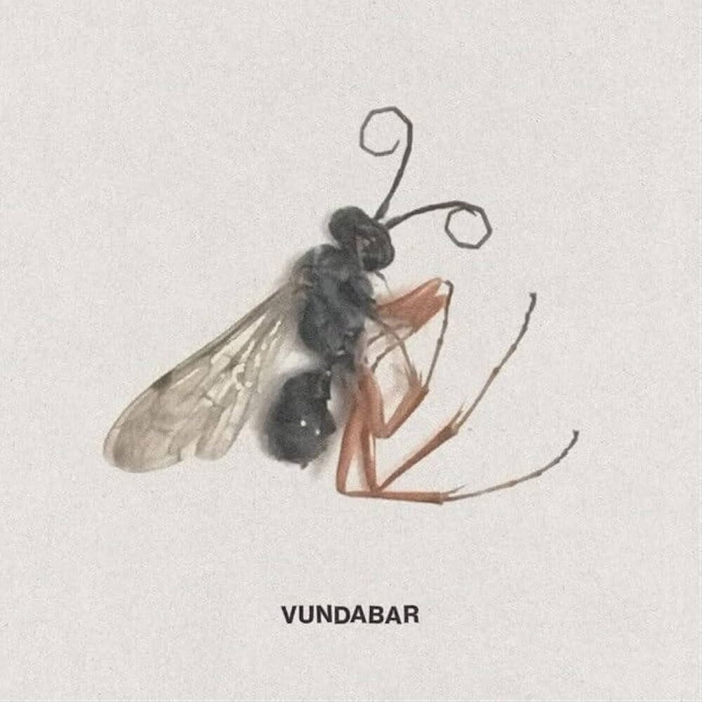 the album cover for Vundabar - Good Old
