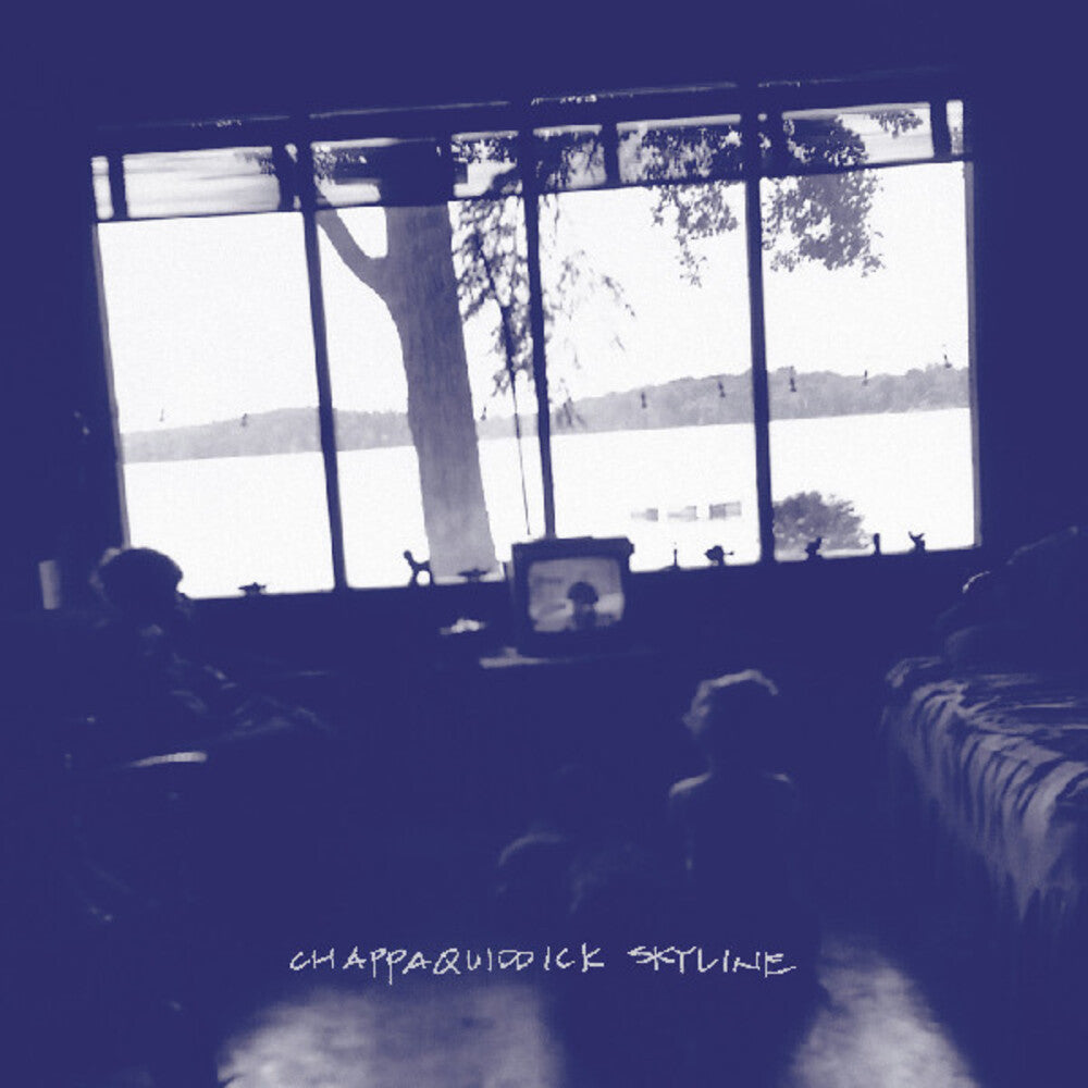 the album cover for Pernice Brothers - Chappaquiddick Skyline [Limited Edition Clear Vinyl]