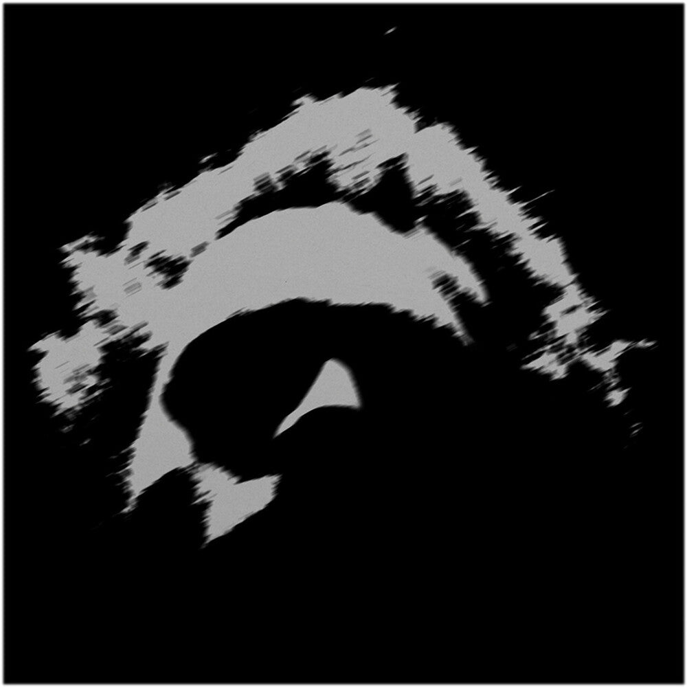 the album cover for Benjamin Booker - The Lower [LP Clear]