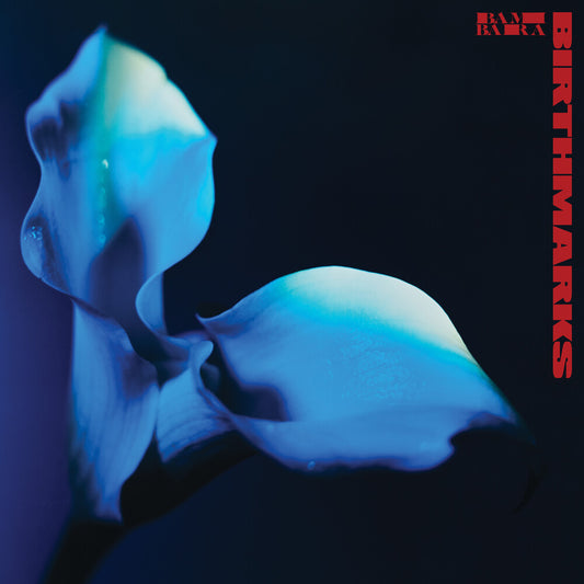 the album cover for Bambara - Birthmarks (Blue) [Colored Vinyl]