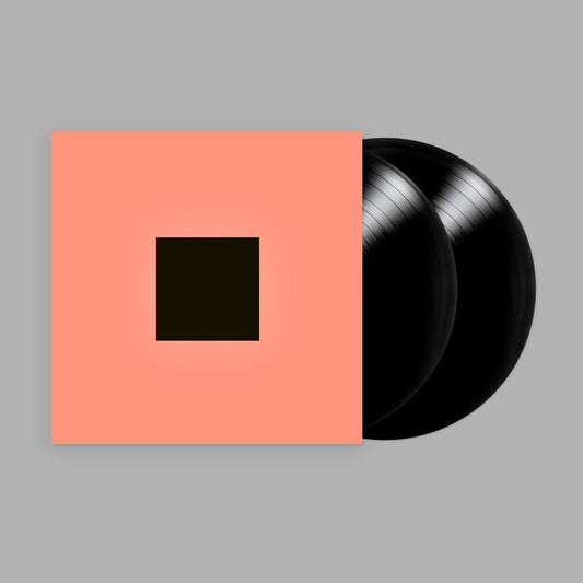 the album cover for Bon Iver - SABLE, fABLE [2LP]
