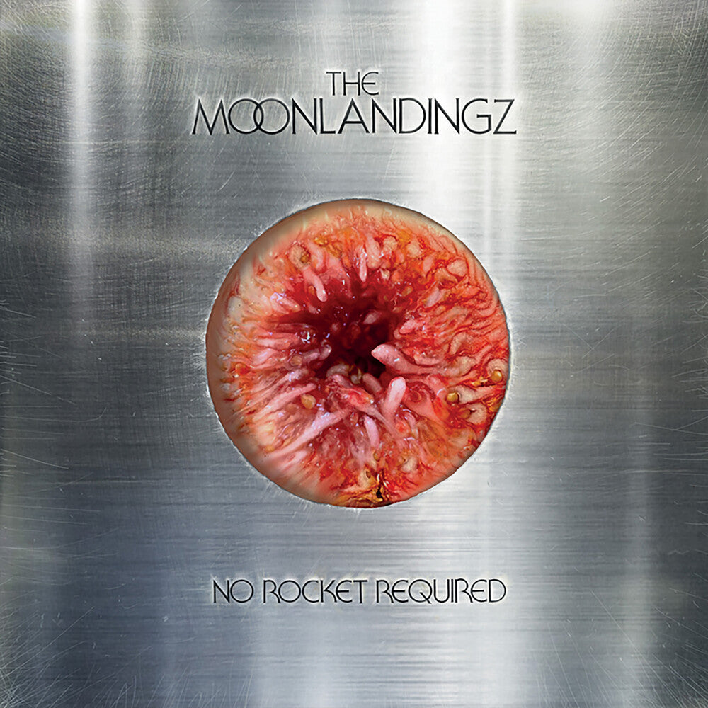 the album cover for Moonlandingz - No Rocket Required