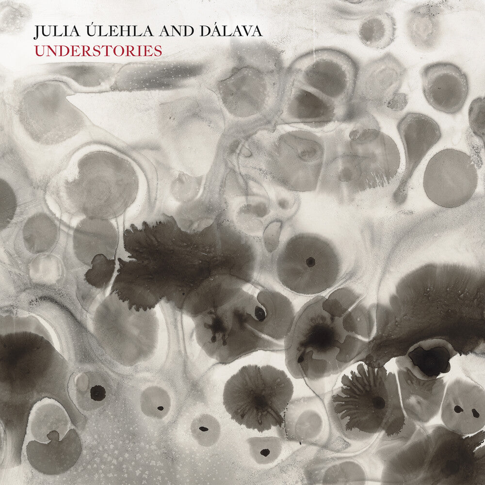 the album cover for Julia Ulehla  & Dalava - Understories